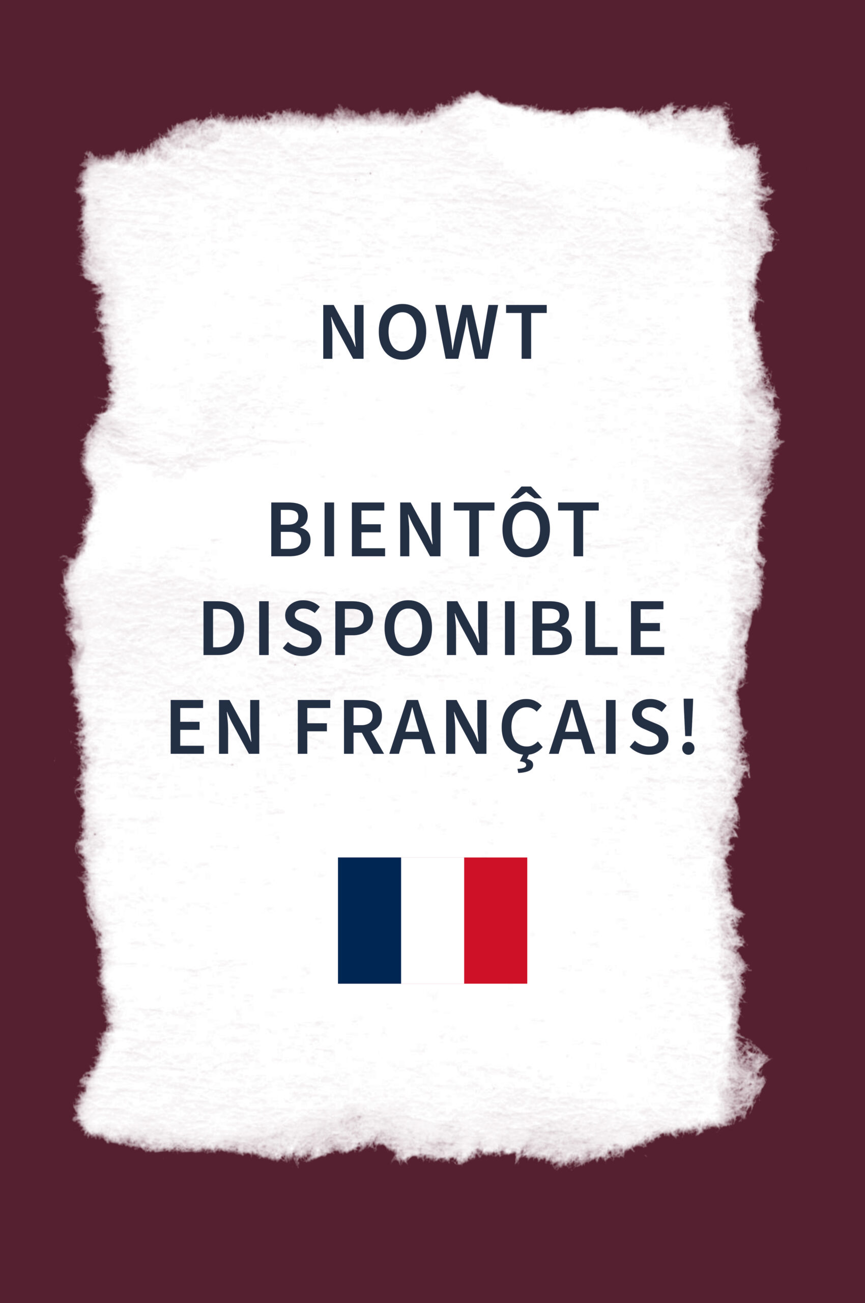 Torn piece of paper with the text in French: NOWT soon available in French